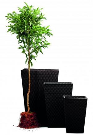 Květináč RATTAN PLANTER antracit Keter 53x53x73 cm #1 small