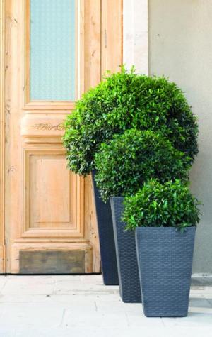 ArtRoja Rattan planter M - grafit #2 small